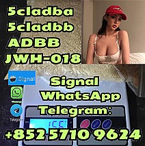 99% Purity 5cladba 5cladbb adbb Precursor Powder 5cl Jwh-018 mdmb