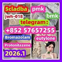 99 %Purity Methylamine Hydrochloride Cas 593-51-1 BMK pmkGlycidic Acid sodium salt CAS 5449 - 12 - 7