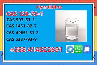 Cas 123-75-1 Pyrrolidine With Factory Price Safe Transportation Provide Pyrrolidine Sample