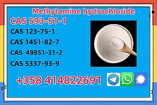 CAS 593-51-1 Methylamine hydrochloride Factory Supply High Purity 100% Safe Delivery
