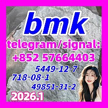 2022 bmk powder cas 5449-12-7 bmk glycidate acid in stock