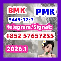 99 %Purity Methylamine Hydrochloride Cas 593-51-1 BMK pmkGlycidic Acid sodium salt CAS 5449 - 12 - 7