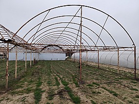 300 m² fóliaváz Zákányszéken