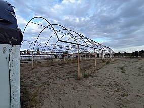 300 m² fóliaváz Zákányszéken