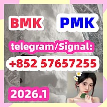 99 %Purity Methylamine Hydrochloride Cas 593-51-1