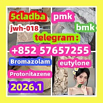 99 %Purity Methylamine Hydrochloride Cas 593-51-1