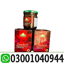 Epimedium Macun Turkish Honey in Pakistan # 03001040944