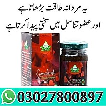 Themra Epimedium Macun in Multan | 0302780097 |
