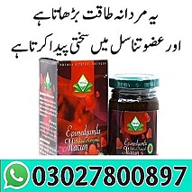 Turkey Jam in Peshawar | 0302780097 |