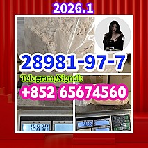 China Supplier BMK，PMK，