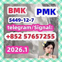 BMK pmkGlycidic Acid sodium salt CAS 5449 - 12 - 7