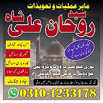 best astrologer in UK,  best astrologer in USA,  love marriage specialist,  love marriage specialist, love marriage specialist