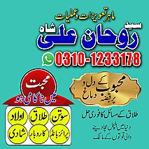 best astrologer in UK,  best astrologer in USA,  love marriage specialist,  love marriage specialist, love marriage specialist