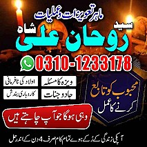 best astrologer in UK,  best astrologer in USA,  love marriage specialist,  love marriage specialist, love marriage specialist