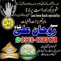 best astrologer in UK,  best astrologer in USA,  love marriage specialist,  love marriage specialist, love marriage specialist