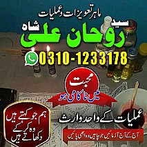 best astrologer in UK,  best astrologer in USA,  love marriage specialist,  love marriage specialist, love marriage specialist