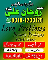 best astrologer in UK,  best astrologer in USA,  love marriage specialist,  love marriage specialist, love marriage specialist
