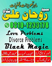 best astrologer in UK,  best astrologer in USA,  love marriage specialist,  love marriage specialist, love marriage specialist