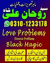 best astrologer in UK,  best astrologer in USA,  love marriage specialist,  love marriage specialist, love marriage specialist