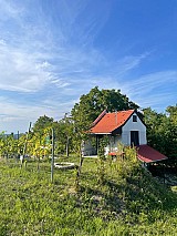 Zalaistvándon 1.387 m2-es zártkerti ingatlan kisebb építménnyel eladó