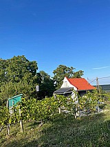 Zalaistvándon 1.387 m2-es zártkerti ingatlan kisebb építménnyel eladó