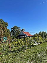 Zalaistvándon 1.387 m2-es zártkerti ingatlan kisebb építménnyel eladó