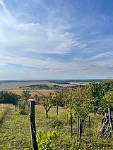 Zalaistvándon 1.387 m2-es zártkerti ingatlan kisebb építménnyel eladó