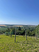 Zalaistvándon 1.387 m2-es zártkerti ingatlan kisebb építménnyel eladó