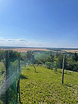 Zalaistvándon 1.387 m2-es zártkerti ingatlan kisebb építménnyel eladó