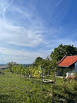 Zalaistvándon 1.387 m2-es zártkerti ingatlan kisebb építménnyel eladó