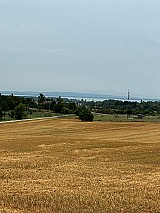 Cserszegtomajon 4.445 m2-es építési telek eladó