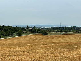 Cserszegtomajon 4.445 m2-es építési telek eladó