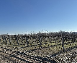 Kiskőrös külterület