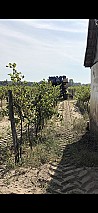 Kiskőrös külterület