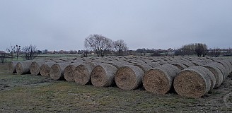Eladó búzaszalma