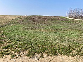 Cserszegtomajon 1.920 m2-es építési telek eladó