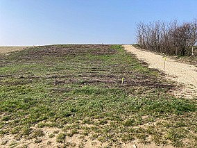 Cserszegtomajon 1.920 m2-es építési telek eladó