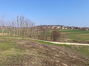 Cserszegtomajon 1.920 m2-es építési telek eladó