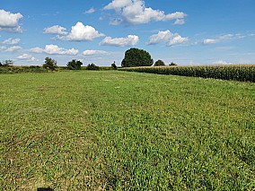 Keszthely Kertváros részén 6.814 m2-es fejlesztési terület eladó