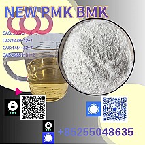 Predám 5449-12-7 B MK glycidic acid sodium chemical reagents supplier high purity Bulk 28578-16-7 P MK