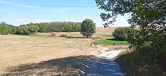 Komárom-Esztergom megyében SZÁNTÓ TERÜLET eladó