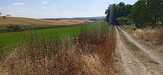 Komárom-Esztergom megyében SZÁNTÓ TERÜLET eladó