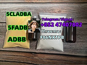 Strong 5cladba raw materials 5CL - ADB precursor powder supplier