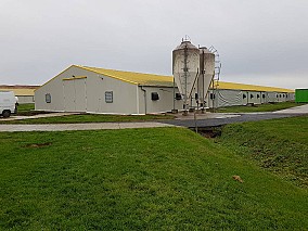 Baromfinevelő telep eladó
