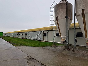 Baromfinevelő telep eladó