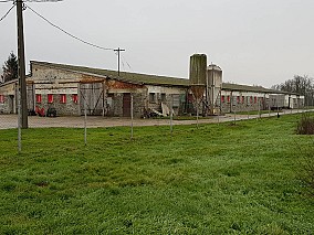 Baromfinevelő telep eladó