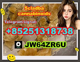 5cladba precursor raw 5cl-adb-a material
