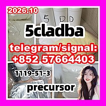 5CLADBA Yellow Powder Buy 5CL - ADB