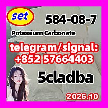 584-08-7 potassium carbonate