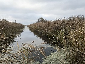 Kis-Balaton mellett 9,7 hektáros terület eladó